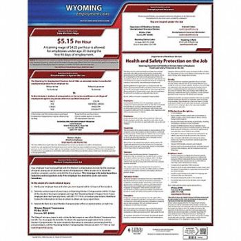 JJ KELLER Labor Law Poster State Labor Law WY, 29EA38