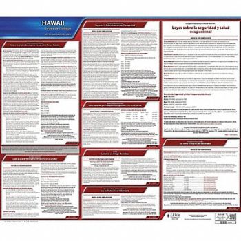 JJ KELLER Labor Law Poster State Labor Law HI, 29EA50