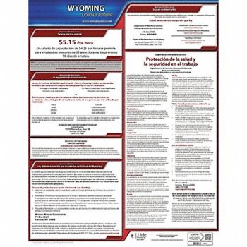 JJ KELLER Labor Law Poster State Labor Law WY, 29EA91