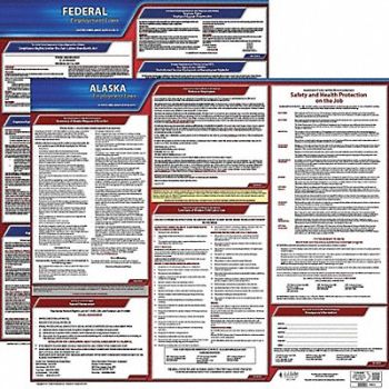 JJ KELLER Labor Law Poster Kit AK English 19 in W, 29EA92