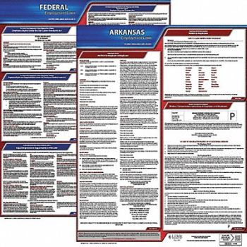 JJ KELLER Labor Law Poster Kit AR English 19 in W, 29EA94