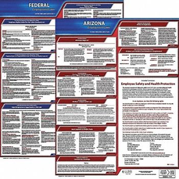 JJ KELLER Labor Law Poster Kit AZ English 19 in W, 29EA95