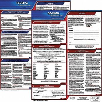 JJ KELLER Labor Law Poster Kit GA English 19 in W, 29EC03