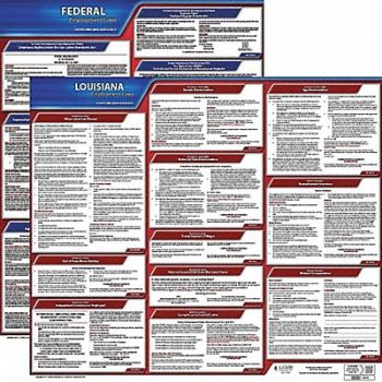 JJ KELLER LaborLaw Poster Fed/STA LA ENG 20inH 1yr, 36EU79