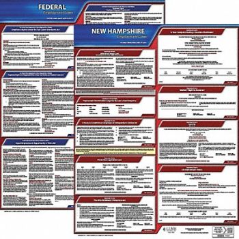 JJ KELLER Labor Law Poster Kit NH English 27 in W, 29EC23