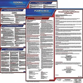 JJ KELLER Labor Law Poster Kit PR English 19 in W, 29EC32