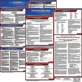 JJ KELLER LaborLaw Poster Fed/STA SC ENG 20inH 1yr, 36EV03