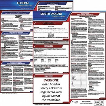JJ KELLER Labor Law Poster Kit SD English 19 in W, 29EC35