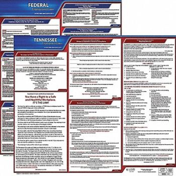 JJ KELLER LaborLaw Poster Fed/STA TN ENG 20inH 3yr, 36EW12