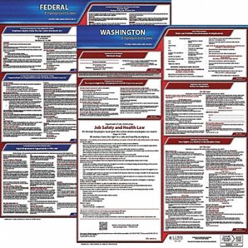 JJ KELLER LaborLaw Poster Fed/STA WA ENG 20inH 1yr, 36EV11