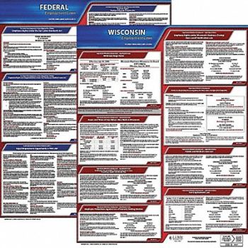 JJ KELLER Labor Law Poster Kit WI English 19 in W, 29EC43
