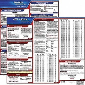 JJ KELLER Labor Law Poster Kit WV English 19 in W, 29EC44