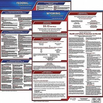 JJ KELLER Labor Law Poster Kit WY English 19 in W, 29EC45