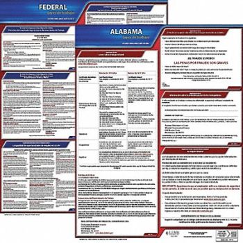 JJ KELLER Labor Law Poster Fed/STA AL SP 20inH 3yr, 36EW23