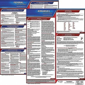JJ KELLER Labor Law Poster Fed/STA AR SP 20inH 3yr, 36EW24
