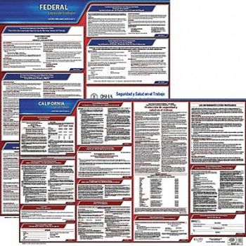JJ KELLER Labor Law Poster Kit CA Spanish 34 in W, 29EC50