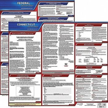 JJ KELLER Labor Law Poster Fed/STA CT SP 20inH 3yr, 36EW27