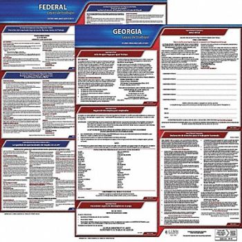 JJ KELLER Labor Law Poster Kit GA Spanish 19 in W, 29EC56