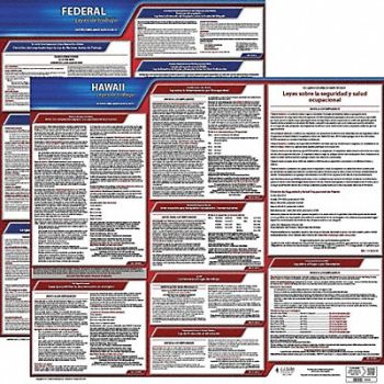 JJ KELLER Labor Law Poster Fed/STA HI SP 20inH 1yr, 36EV26