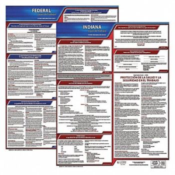 JJ KELLER Labor Law Poster Fed/STA IN SP 20inH 1yr, 36EV30
