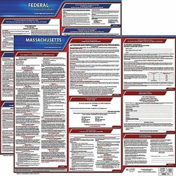 JJ KELLER Labor Law Poster Fed/STA MA SP 20inH 3yr, 36EW41