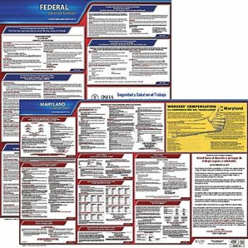 JJ KELLER Labor Law Poster Fed/STA MD SP 20inH 3yr, 36EW42