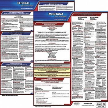 JJ KELLER Labor Law Poster Kit MT Spanish 19 in W, 29EC72
