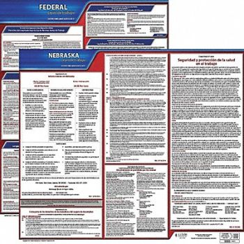 JJ KELLER Labor Law Poster Fed/STA NE SP 20inH 1yr, 36EV44