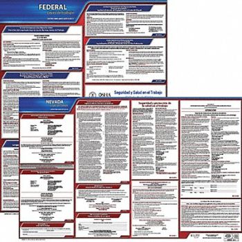 JJ KELLER Labor Law Poster Fed/STA NV SP 20inH 1yr, 36EV48