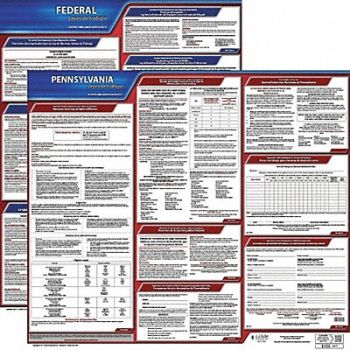 JJ KELLER Labor Law Poster Fed/STA PA SP 20inH 1yr, 36EV53
