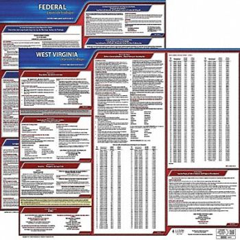 JJ KELLER Labor Law Poster Fed/STA WV SP 20inH 3yr, 36EW73