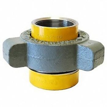 CATAWISSA Union Malleable Iron 2 in FNPT Class 300, 29JF45