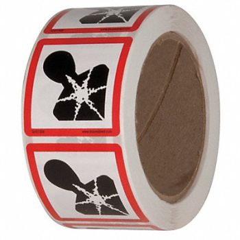 GHS SAFETY Safety Label 2 in W x 2 in H PK500, 29JT91