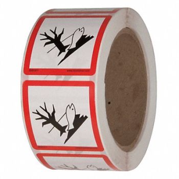 GHS SAFETY Safety Label 2 in W x 2 in H PK500, 29JT94