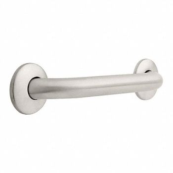 FRANKLIN BRASS Grab Bar SS Unfinished 12 in L, 29WJ25