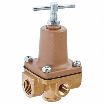 WATTS Pressure Regulator 1/4 FNPT x FNPT, 29YL67