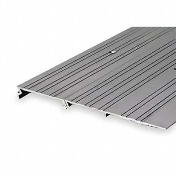 NATIONAL GUARD ADA Compliant Ramp Flush 39 In, 3CEW2