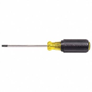 KLEIN TOOLS Torx Screwdriver T25, 2DFH9
