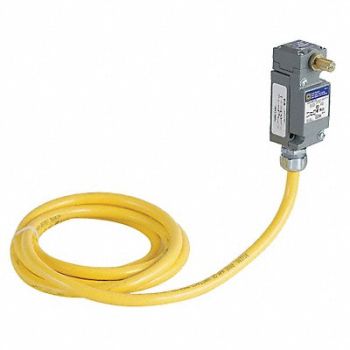 SQUARE D Heavy Duty Limit Switch, 2EF84