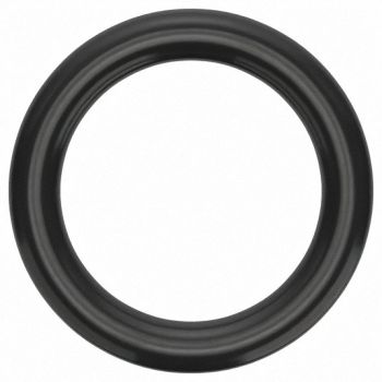 GRAINGER APPROVED O-Ring Dash 318 Viton 0.21 in PK10, 2EFV3