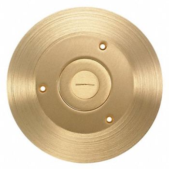 HUBBELL WIRING DEVICE-KELLEMS Floor Box Cover Round 6-1/4 in Brass, 2EMN1