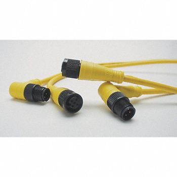 BRAD HARRISON Cordset 4 Pin Plug Male, 2ENL8