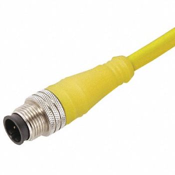 BRAD HARRISON Cordset 8 Pin Receptacle Male, 2ENW6