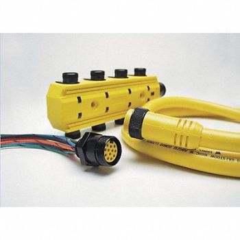 BRAD HARRISON Cordset 12 Pin Pin Receptacle Female, 2ENY3