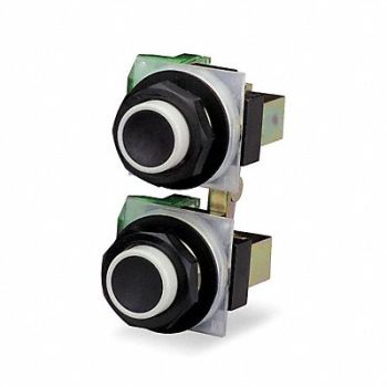 SQUARE D Pendant Pushbutton 30mm Maintained, 2ER62