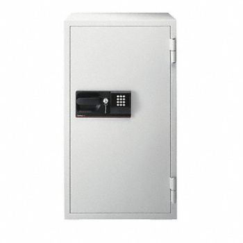 SENTRY SAFE Commercial Fire Safe 5.8 cu ft, 2GTP8