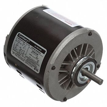 CENTURY Evaporative Cooler Motor Ball CCWLE 115V, 2HTK9