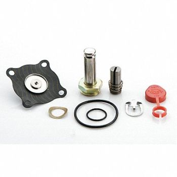 ASCO Valve Rebuild Kit, 2HTW1