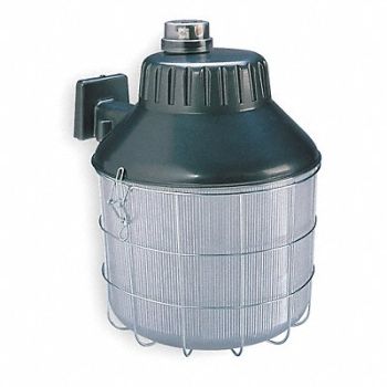 LUMAPRO Fixed Beam Light MH 100W 120V AC, 2LBL6
