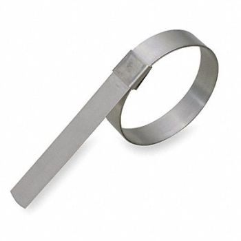 BAND-IT Band Clamp 5/8 W 2 1/4 Max OD PK10, 2LPG2